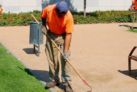 Servei de Jardineria integral a Lleida